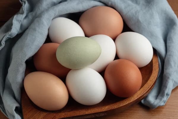 Hen's eggs of different colours in a bowl