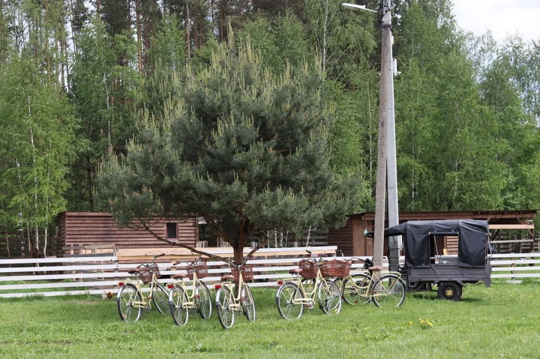 Guest bikes by a fence under the pines