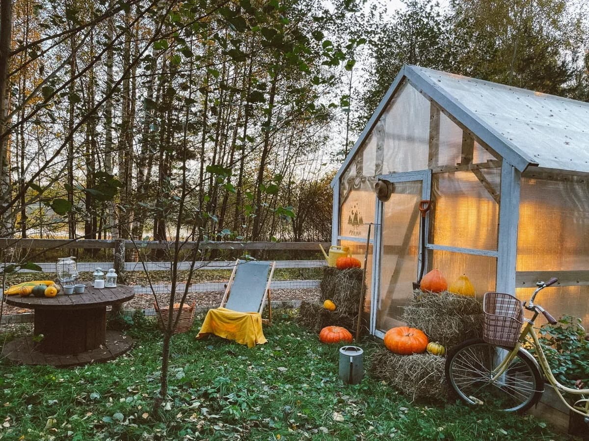 A greenhouse, pumpkins and a bicycle in the autumn vegetable garden