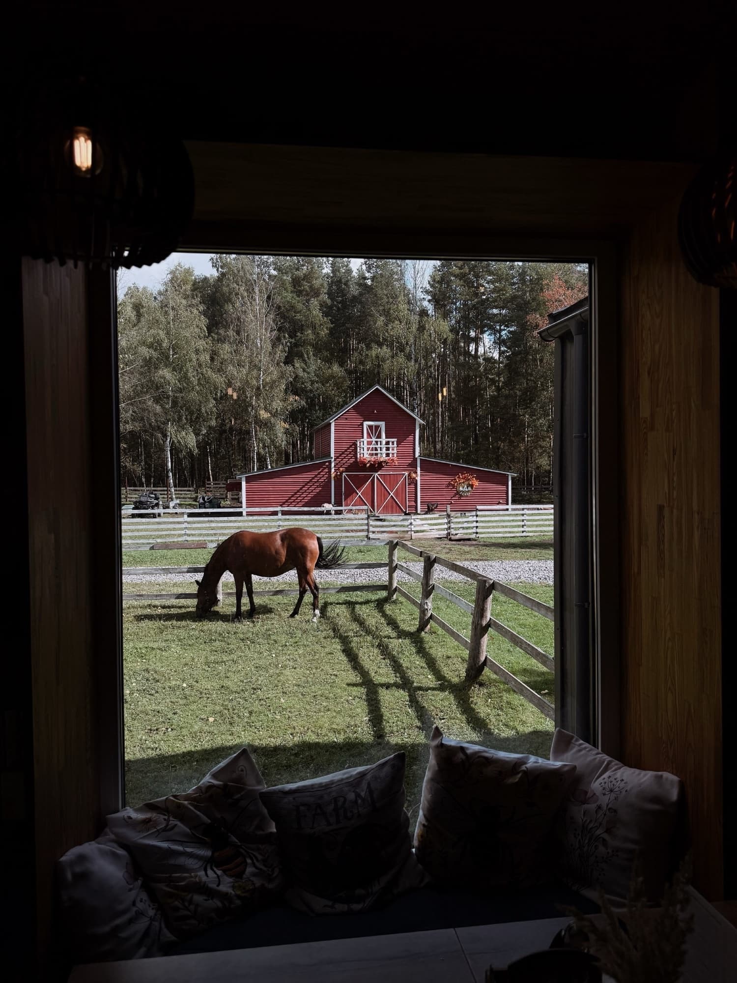 The view from a cabin window: a horse grazing by the red barn