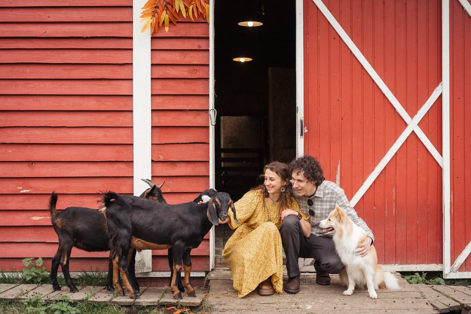 A couple with a dog and goats at the doors of a red barn