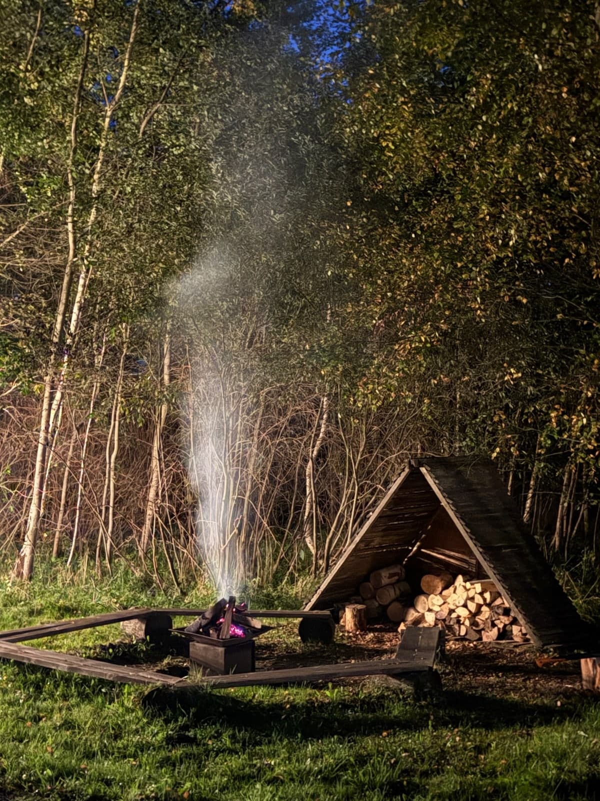 A campfire on the shore with benches around it and a woodpile under a shelter