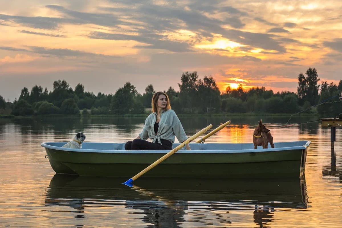 A woman with two dogs in a rowing boat at sunset