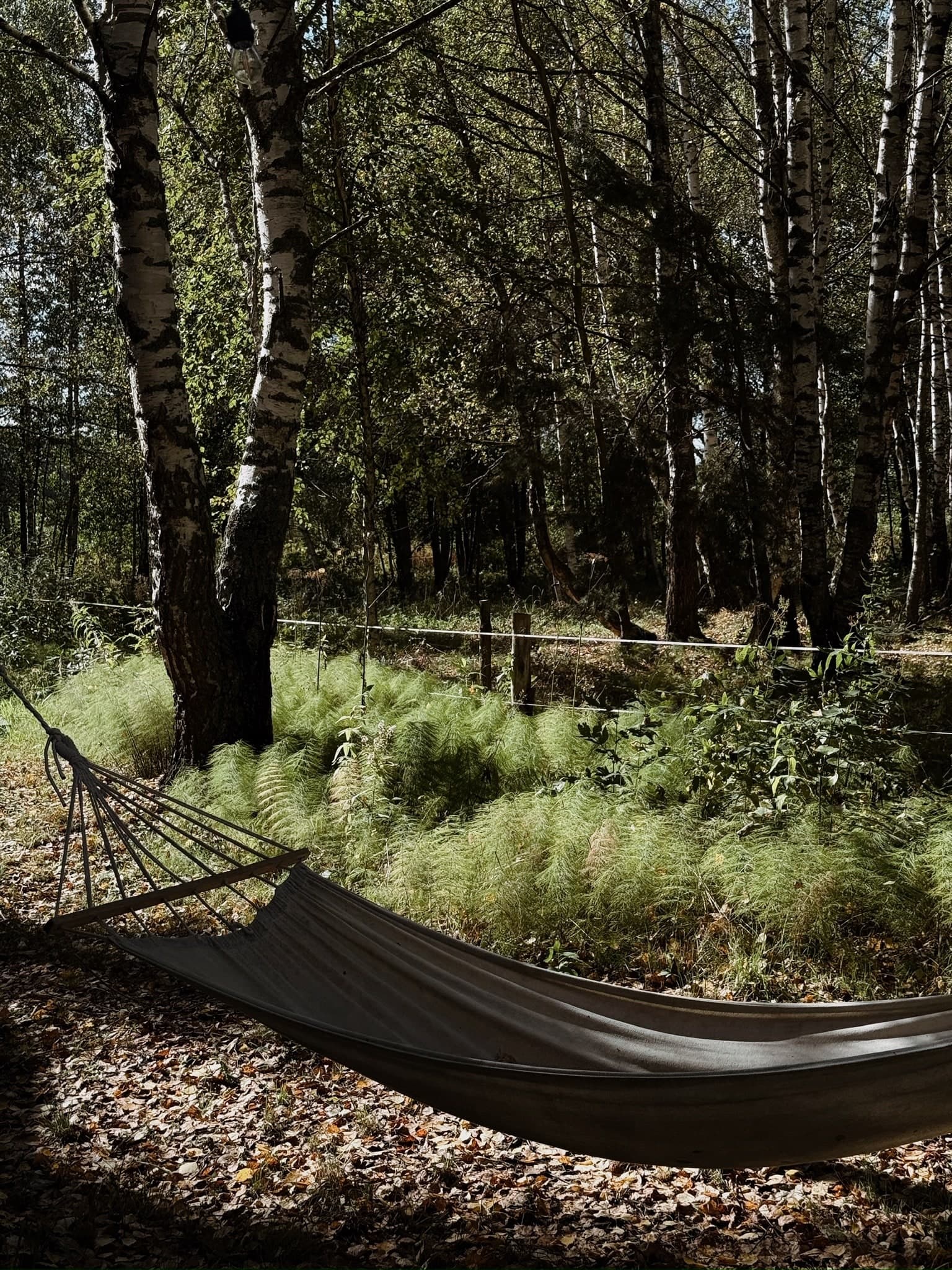 A romantic getaway for two on a real farm