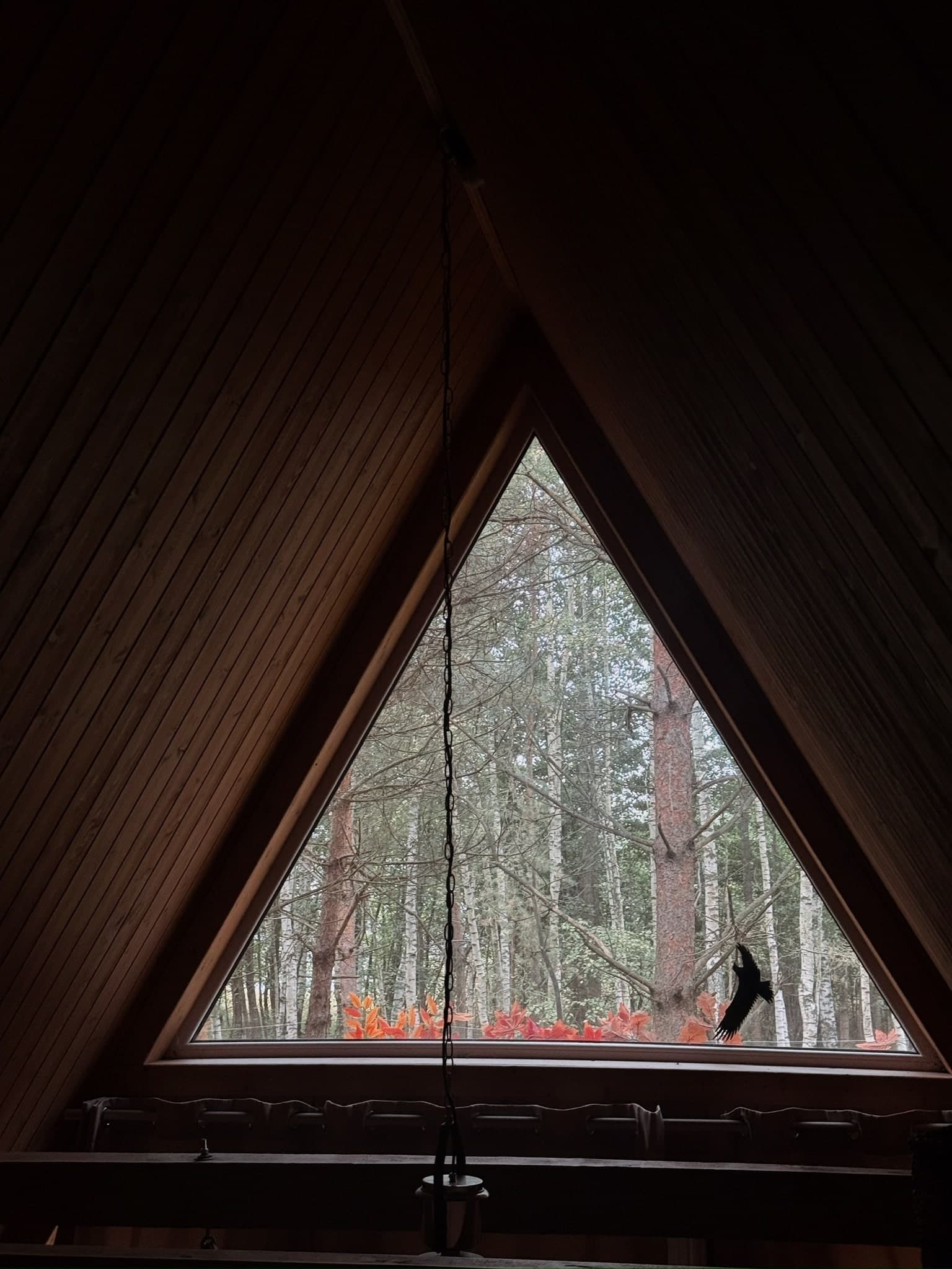 A romantic getaway for two on a real farm