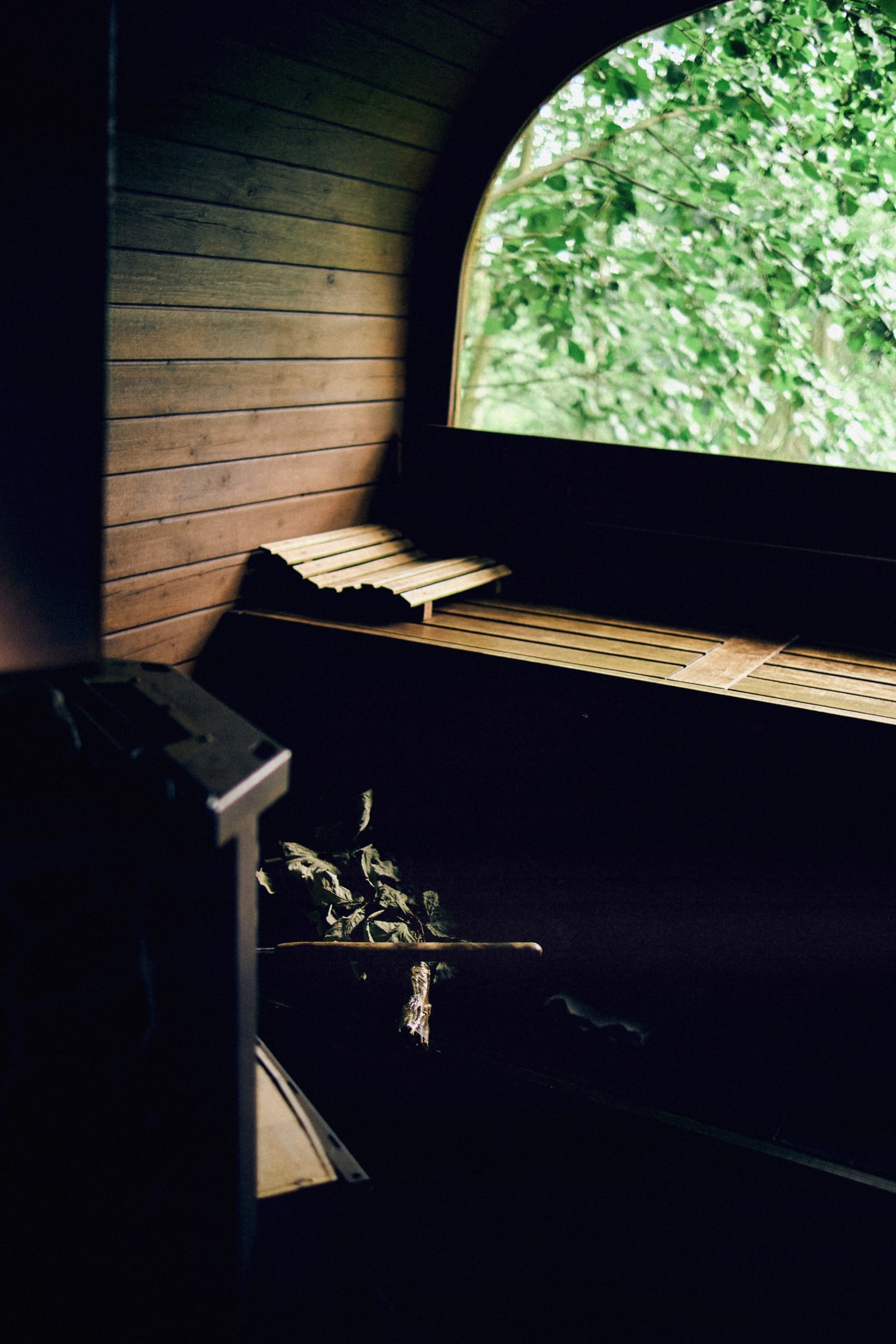 A bench in the steam room, greenery behind an arched window