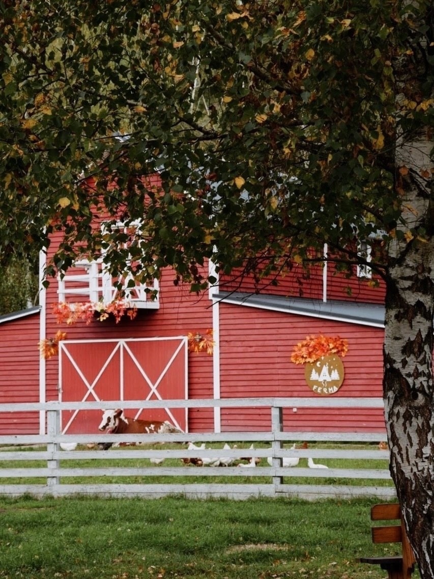 A red barn behind a white fence, with a cow and hens at the gate